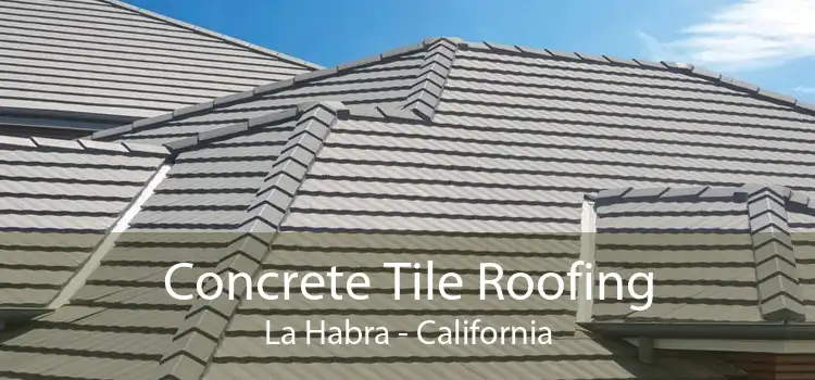 Concrete Tile Roofing La Habra - California