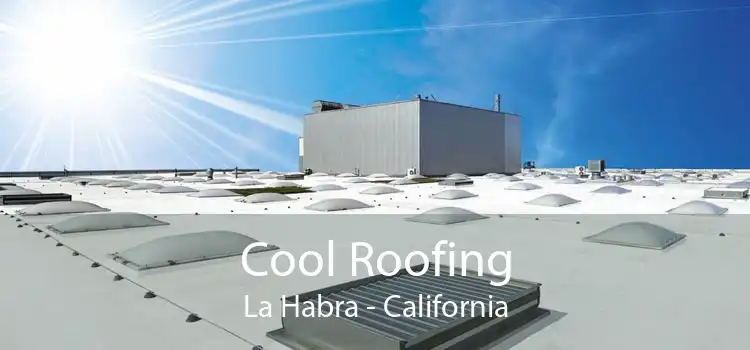 Cool Roofing La Habra - California
