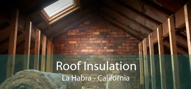 Roof Insulation La Habra - California