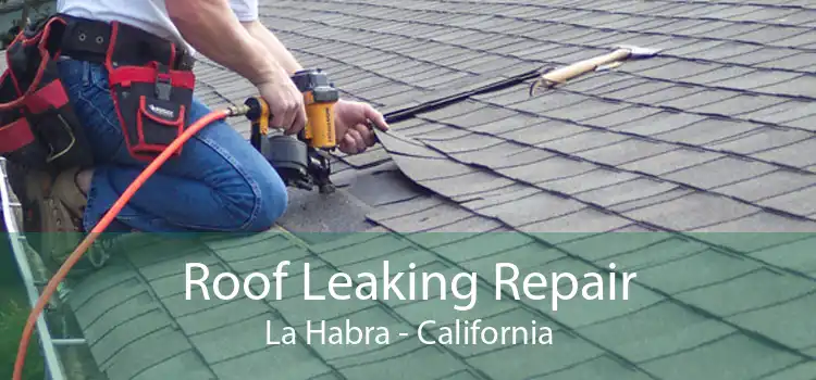 Roof Leaking Repair La Habra - California