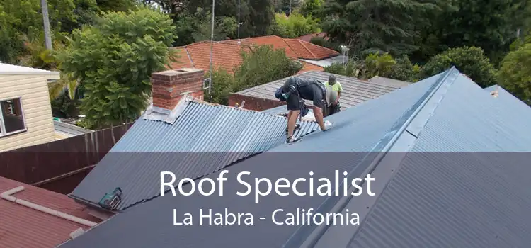 Roof Specialist La Habra - California