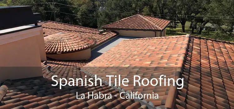 Spanish Tile Roofing La Habra - California