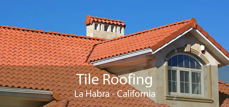 Tile Roofing La Habra - California